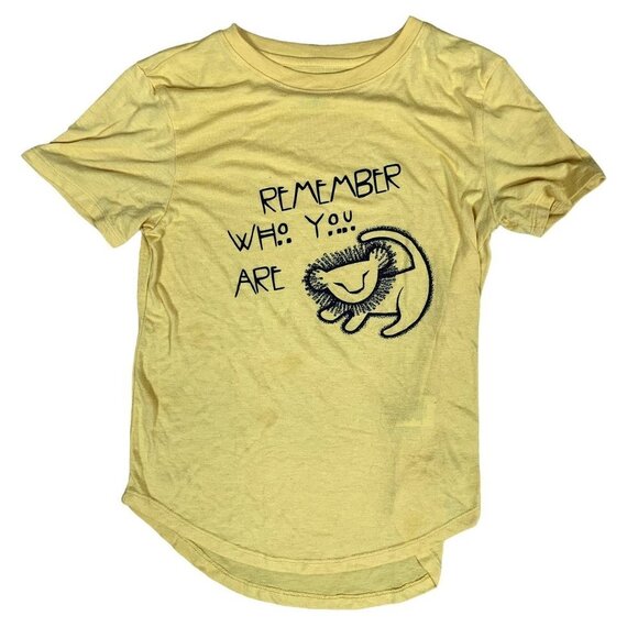 Disney Tops - Disney's the Lion King Remember Who You Are T-Shirt Size Small
